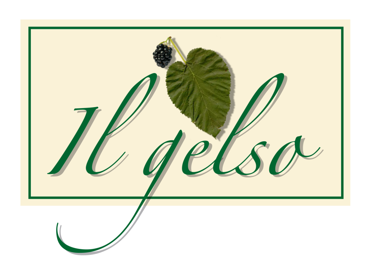 Il gelso
